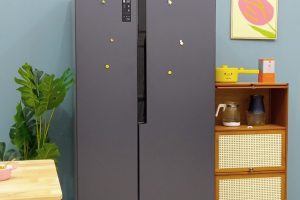 容声609L双开门变频嵌入式冰箱BCD-609WD11HP评测 容声冰箱怎么样